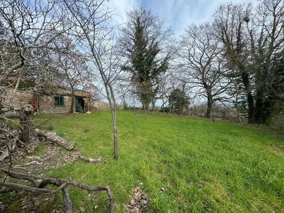 Appartamento - Image 16