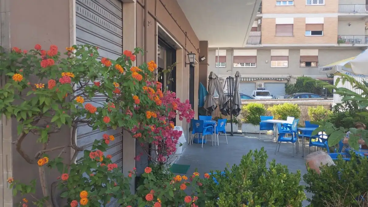 Attività - Image 13