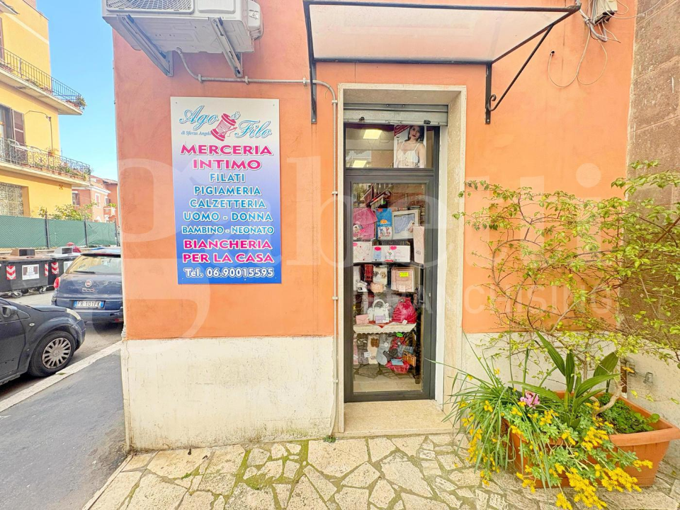 Attività - Image 15