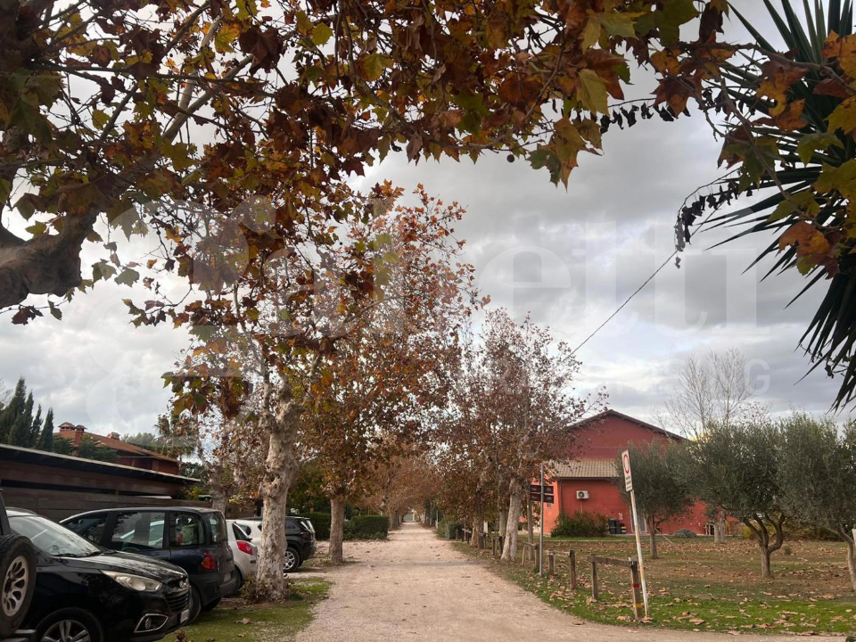 Appartamento - Image 4