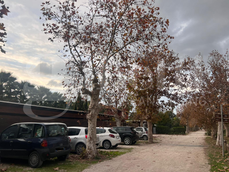 Appartamento - Image 3