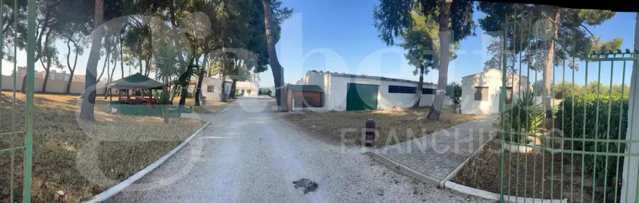 Complesso - Image 15