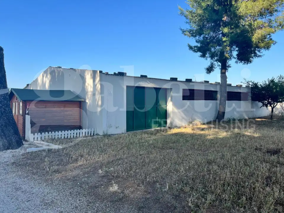 Complesso - Image 17