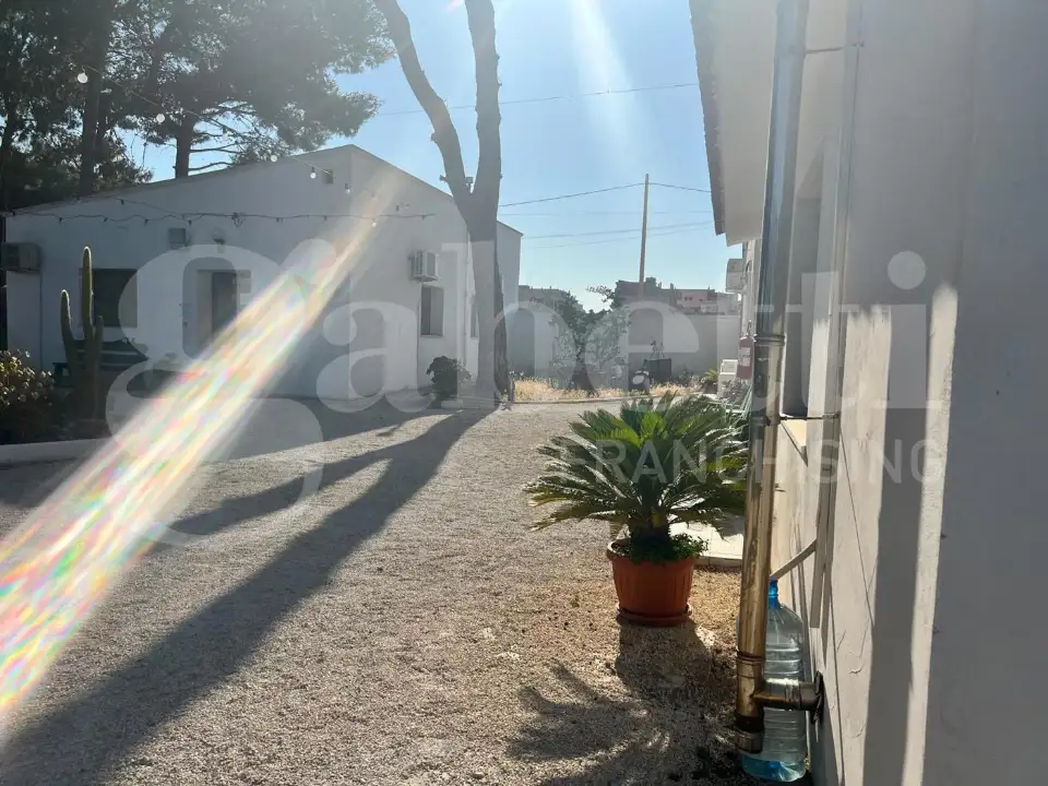 Complesso - Image 10