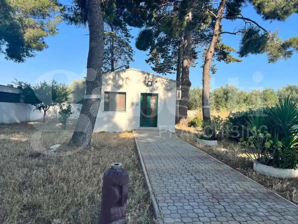 Complesso - Image 16