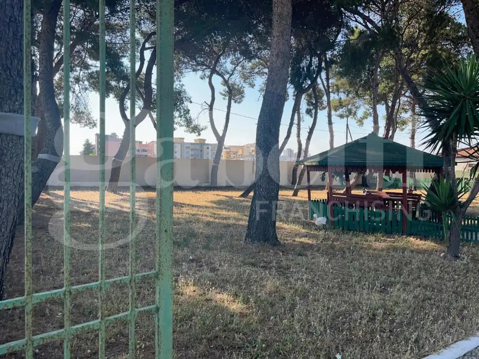 Complesso - Image 22