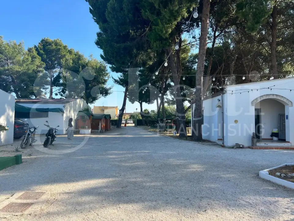 Complesso - Image 13