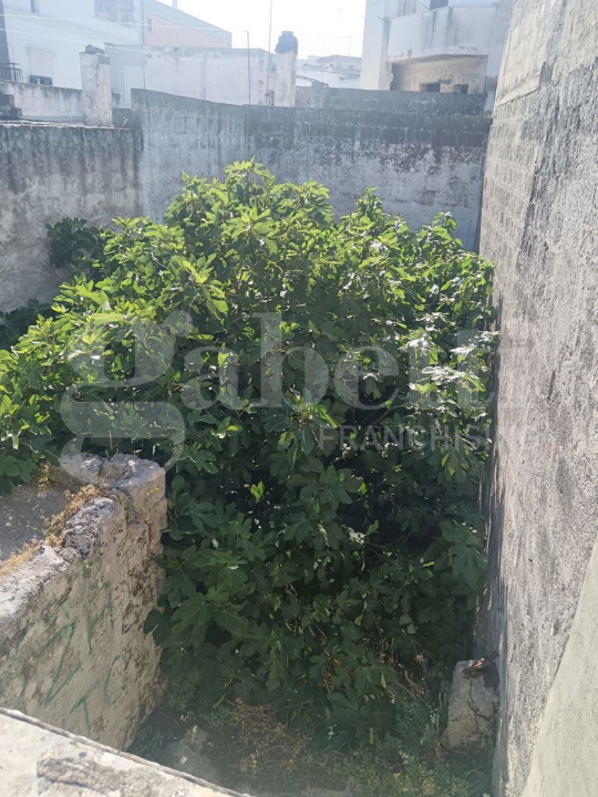 Appartamento - Image 7