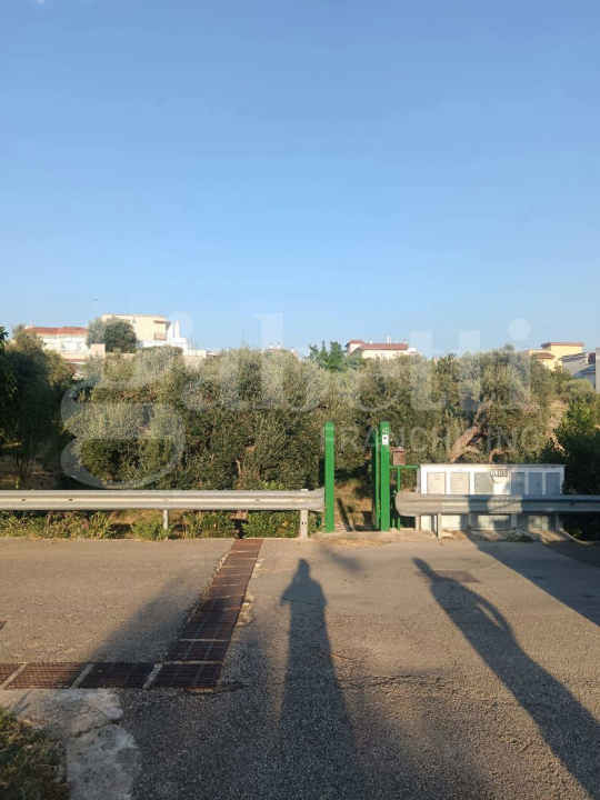 Terreno - Image 8