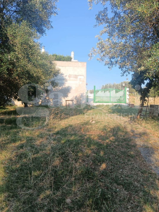 Terreno - Image 6