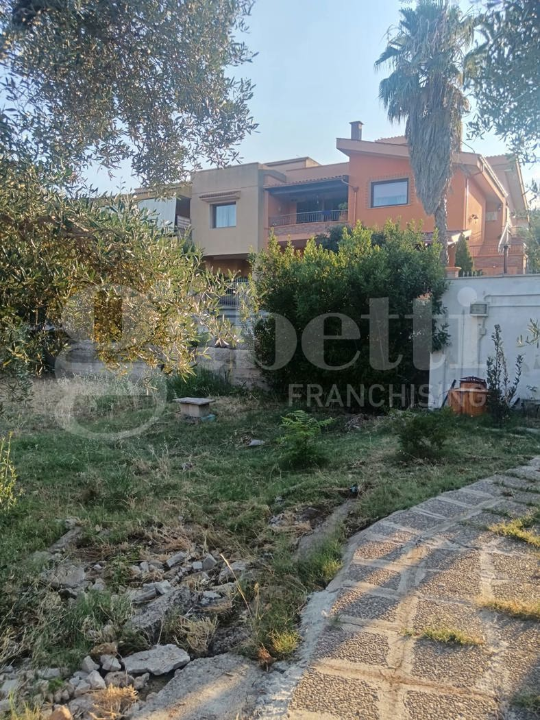 Terreno - Image 11