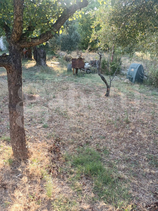 Terreno - Image 2