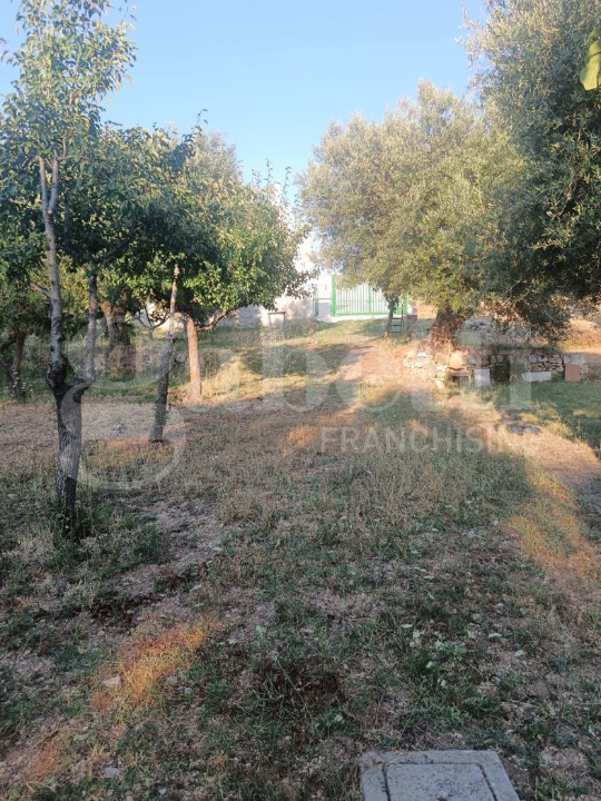 Terreno - Image 13