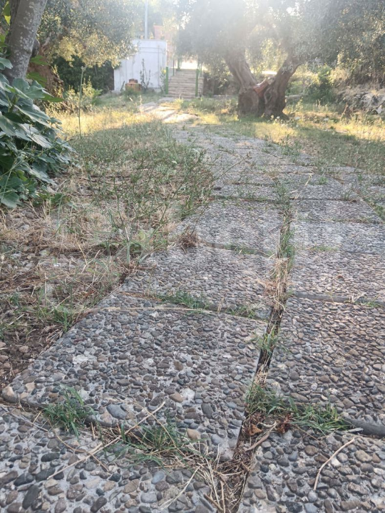 Terreno - Image 14