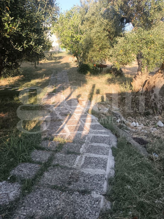 Terreno - Image 9