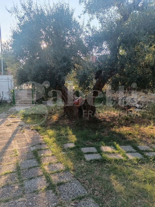 Terreno - Image 12