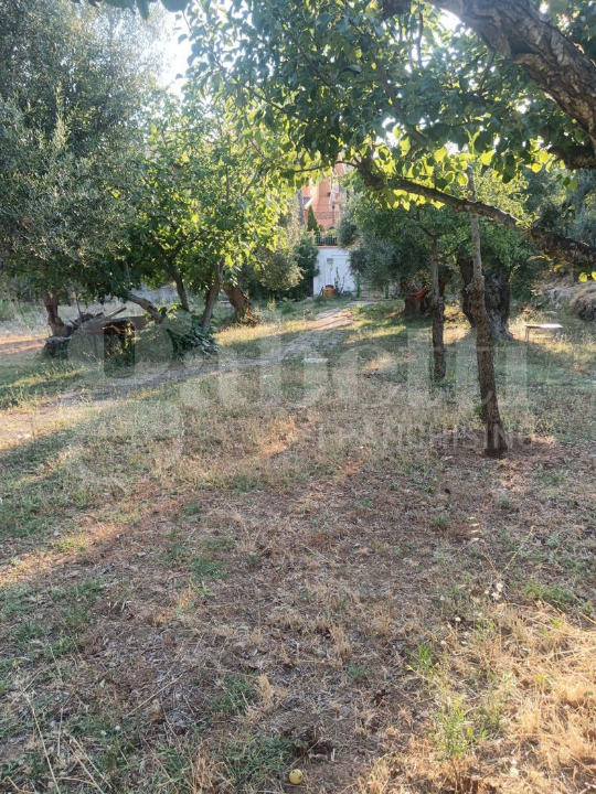 Terreno - Image 3