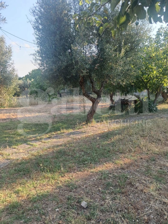 Terreno - Image 4