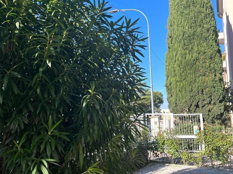 Appartamento - Image 19