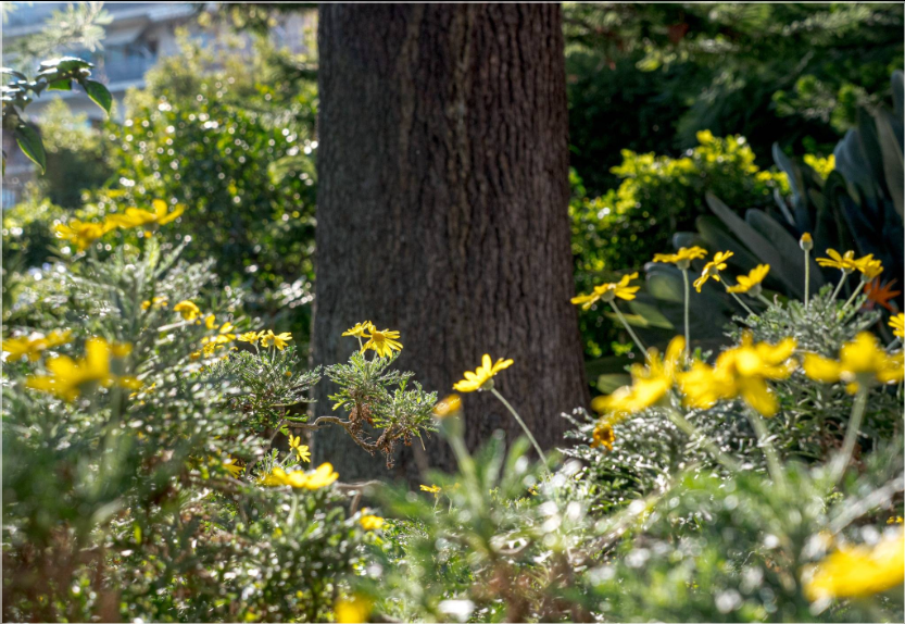 Appartamento - Image 37