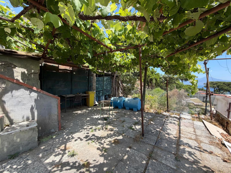Terreno - Image 7