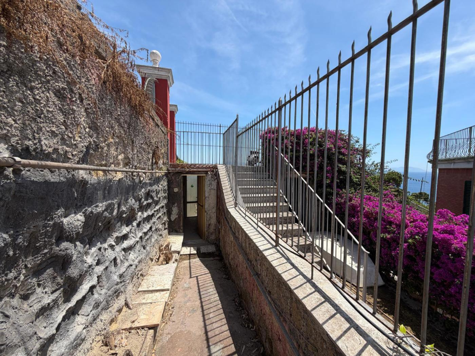 Terreno - Image 12