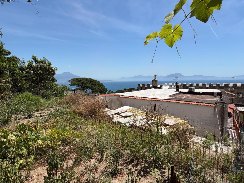Terreno - Image 9