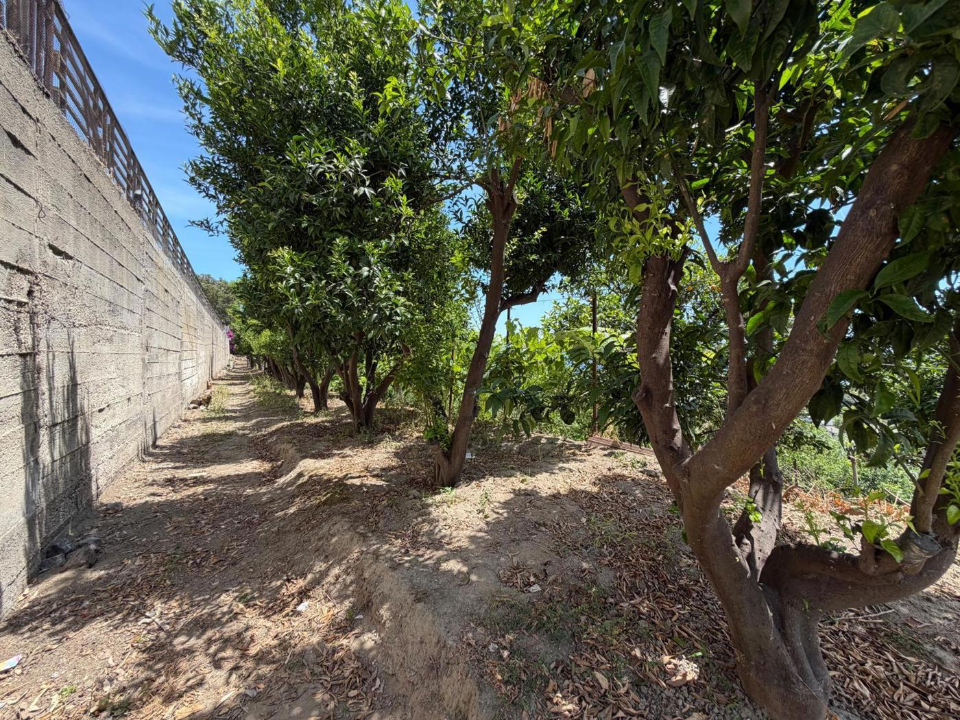 Terreno - Image 18