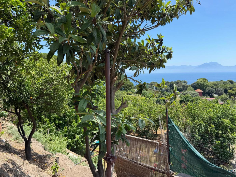 Terreno - Image 2