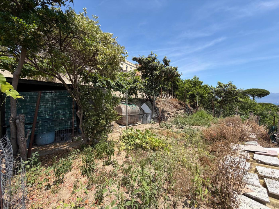 Terreno - Image 11