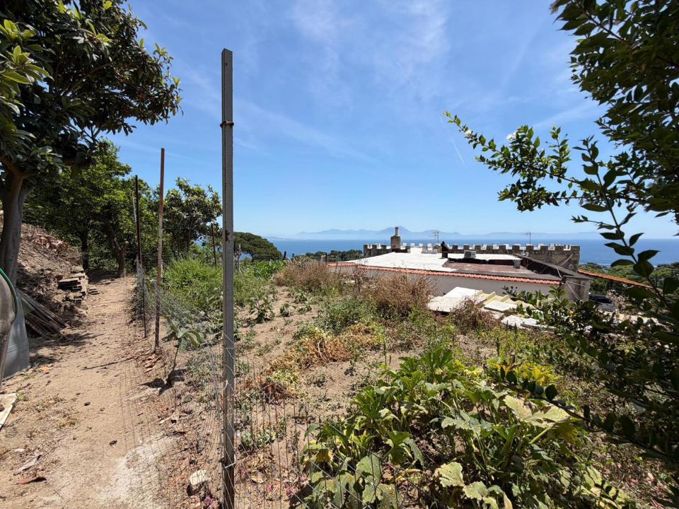 Terreno - Image 5