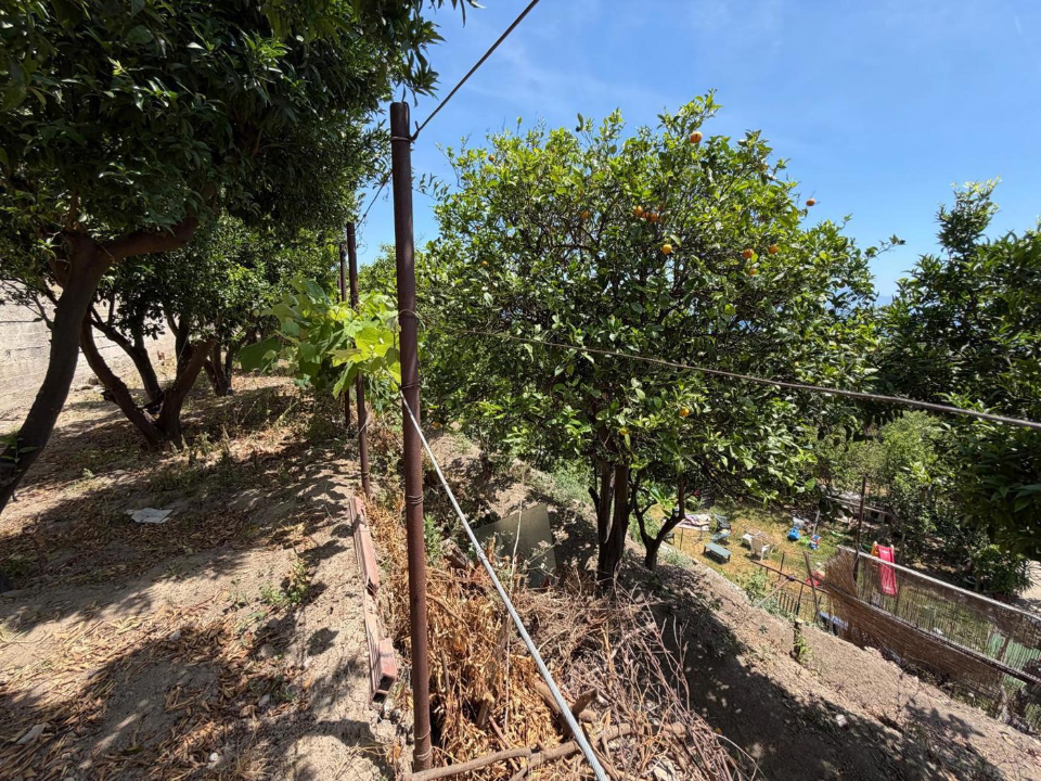 Terreno - Image 8