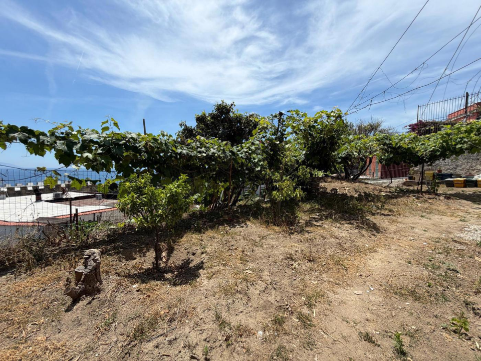 Terreno - Image 4