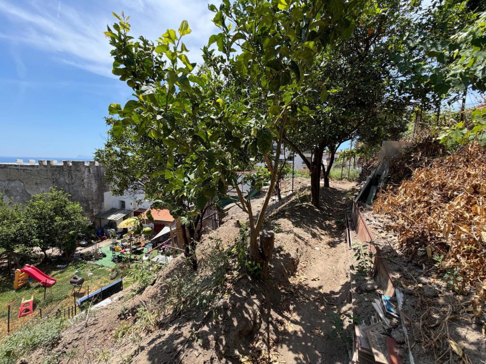 Terreno - Image 6