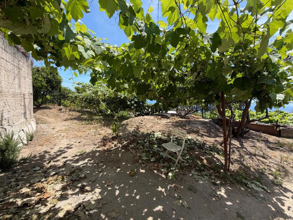Terreno - Image 17
