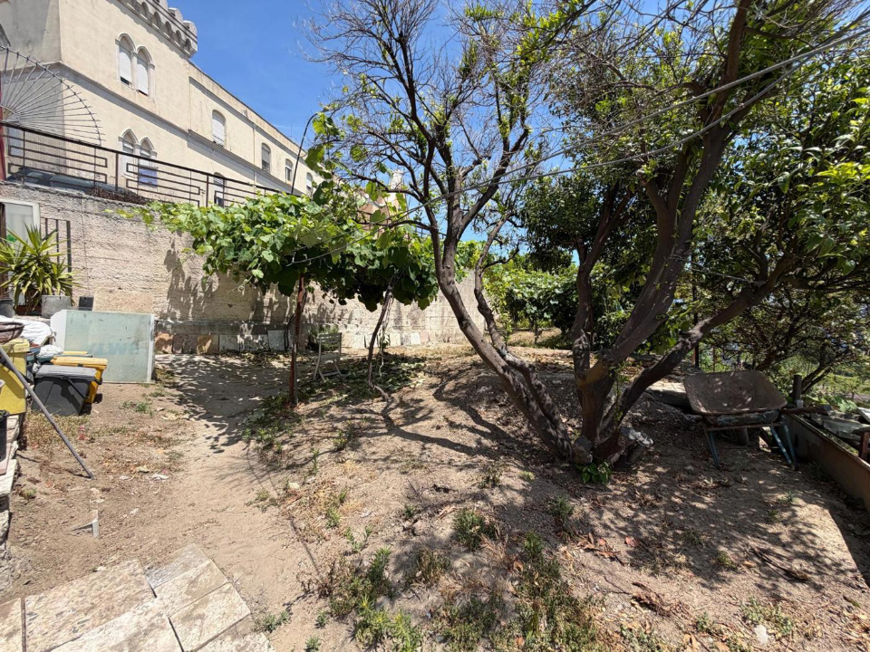 Terreno - Image 16