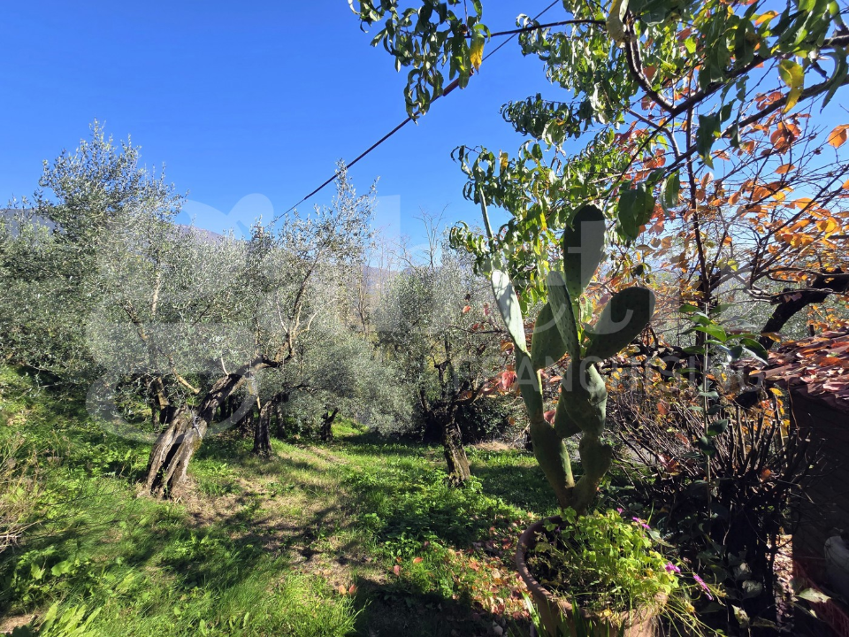 Casa Indipendente - Image 37