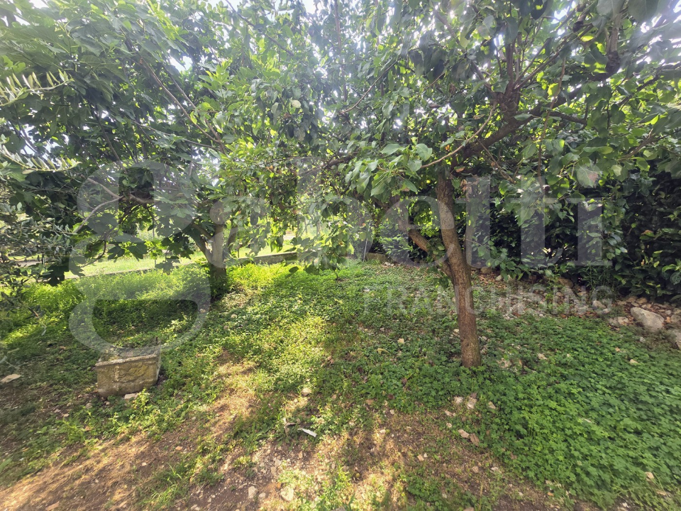 Villa - Image 6