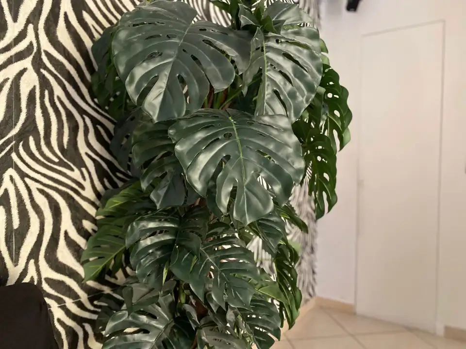 Appartamento - Image 14