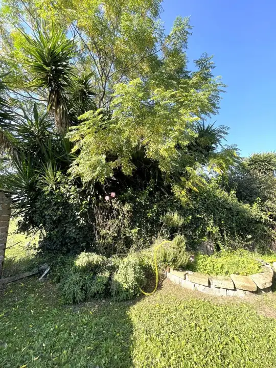 Casa Indipendente - Image 44