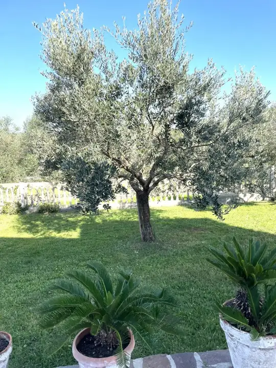 Casa Indipendente - Image 47