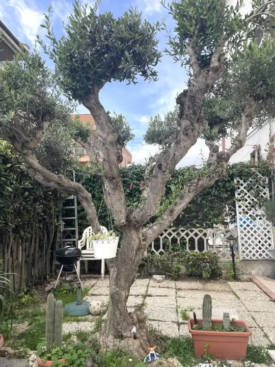 Appartamento - Image 18