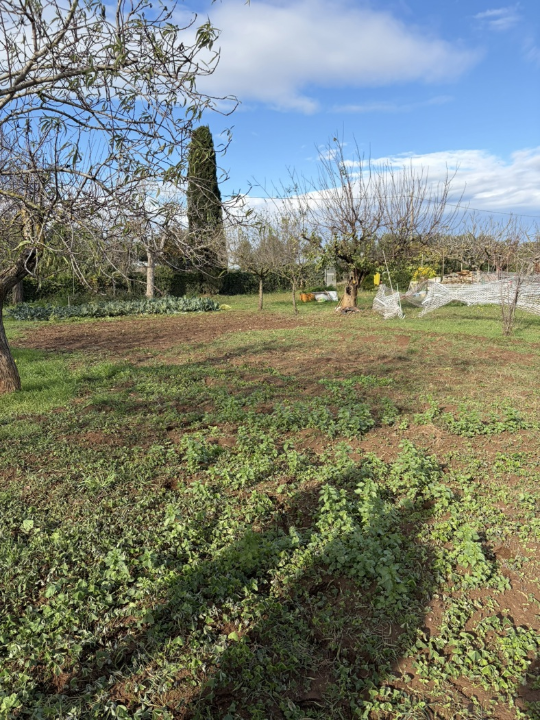 Casa Indipendente - Image 15