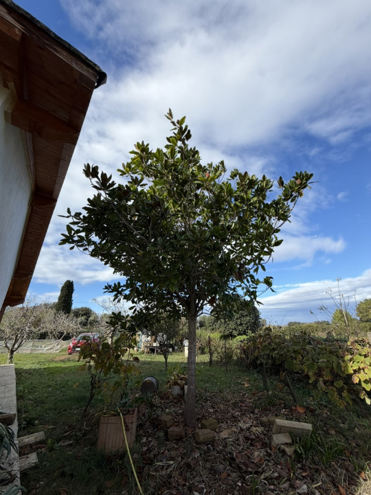 Casa Indipendente - Image 16
