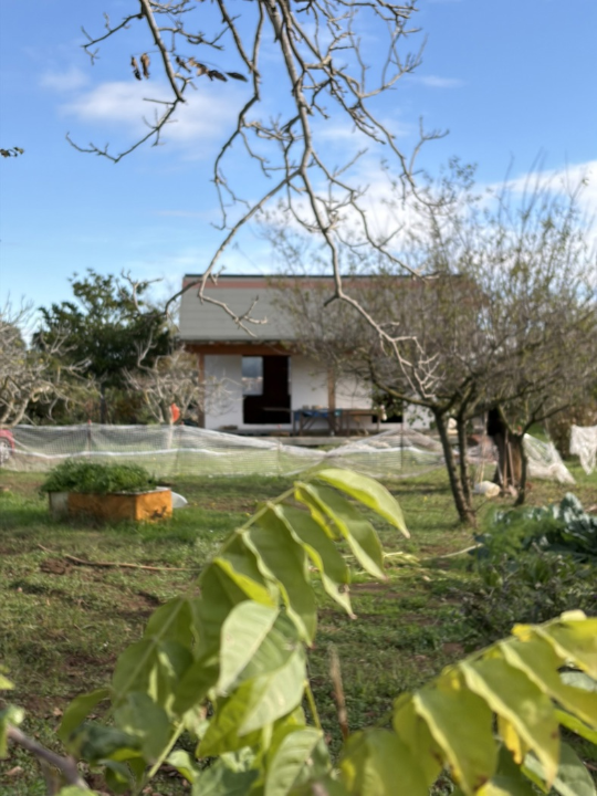 Casa Indipendente - Image 4