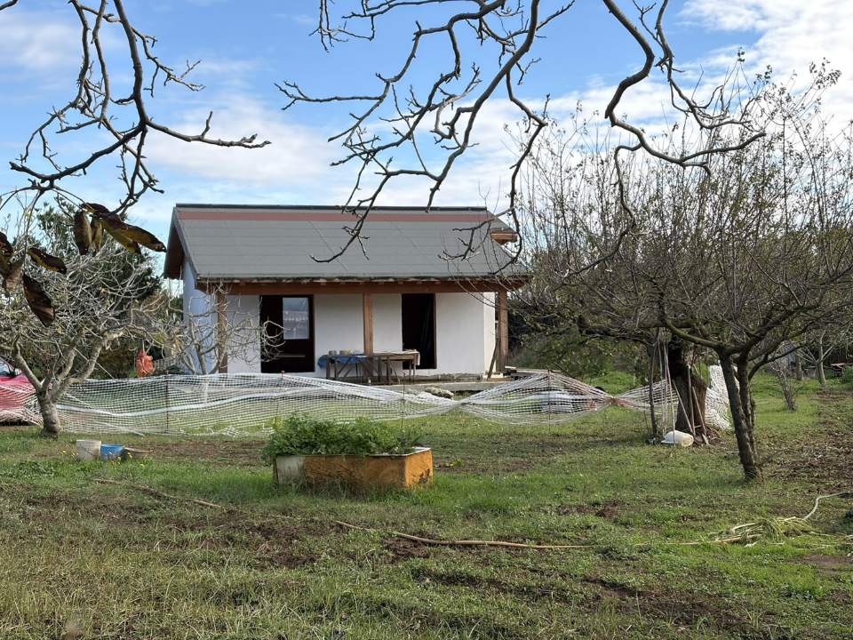 Casa Indipendente - Image 3