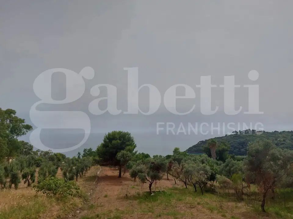 Appartamento - Image 1