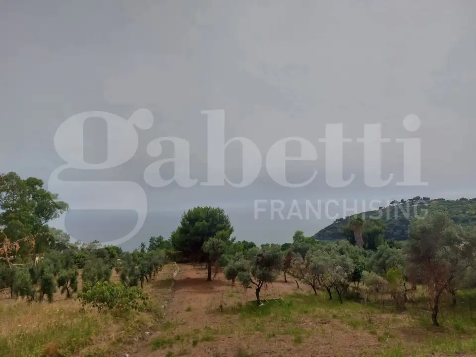 Appartamento - Image 13