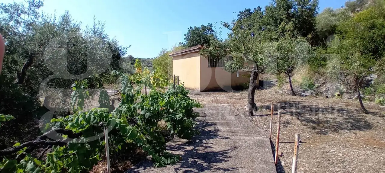 Casa Indipendente - Image 1