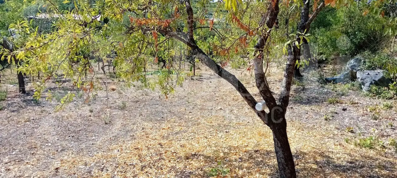 Casa Indipendente - Image 15